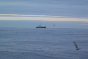 Grotle Seifiske 2007