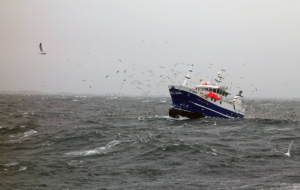 MS Grotle Røst 2016