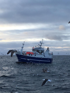 MS Grotle Røst 2016