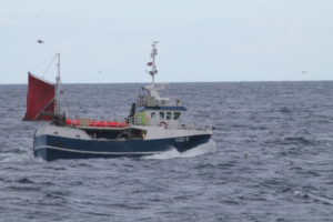 MS Grotle Røst 2016