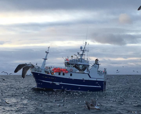 MS Grotle Røst 2016