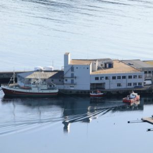 Havstjerna Eigedom - Iglandsvik Næringspark