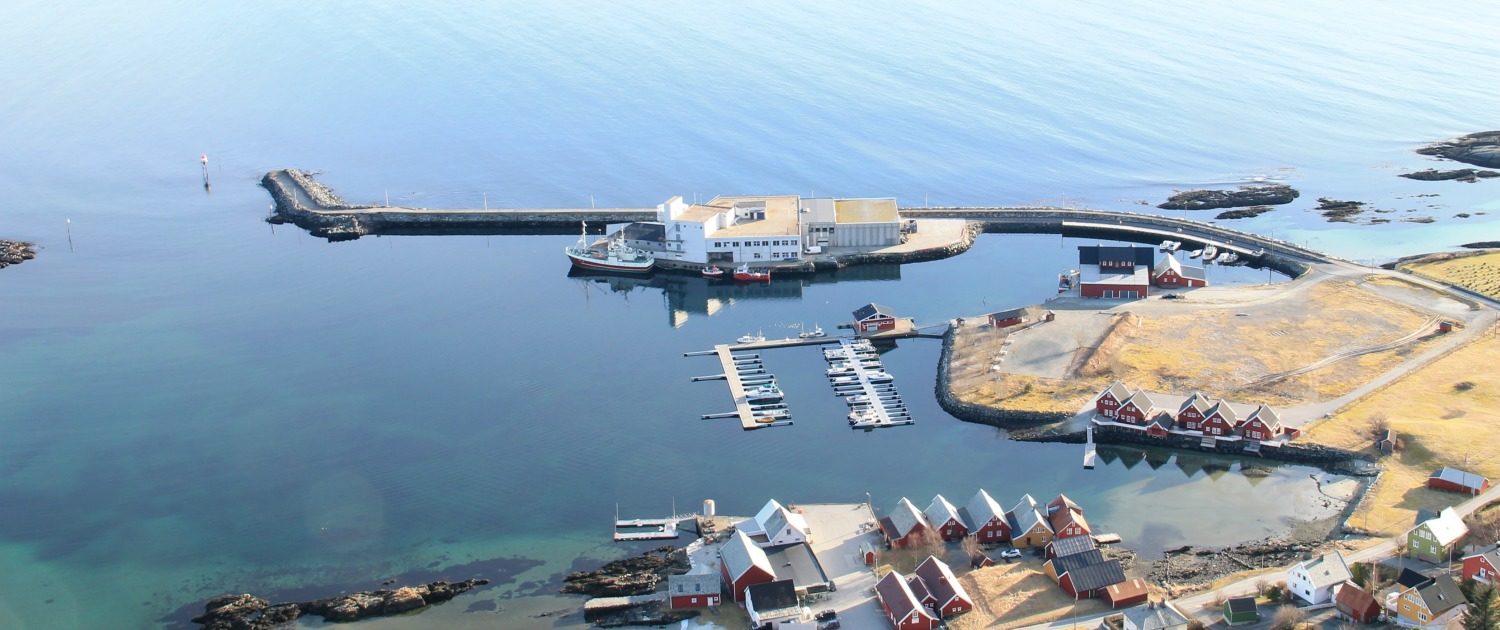 Havstjerna Eigedom - Iglandsvik Næringspark